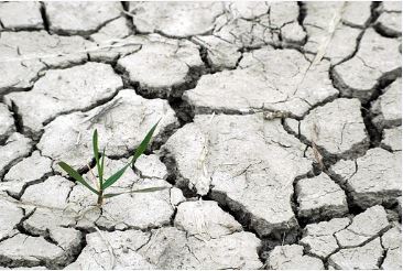drought