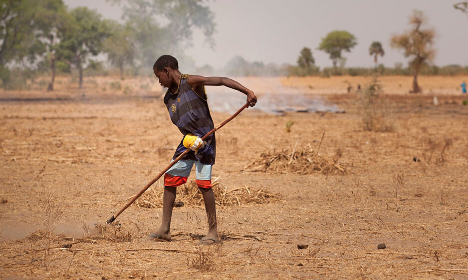 A boy tilling soil