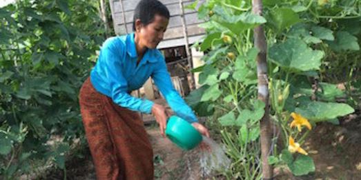 A woman in rural Cambodia waters her home garden.