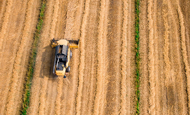 Tractor in a field