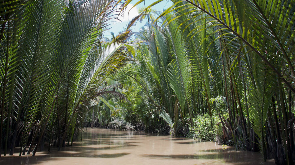 Mekong River