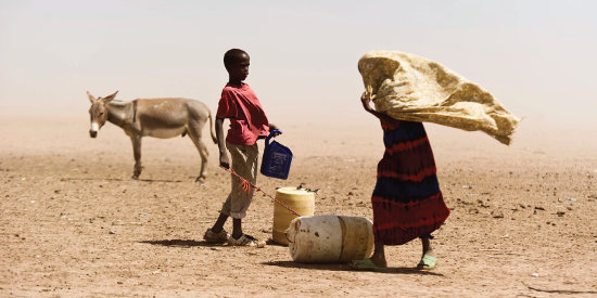Children with doneky in windy landscape
