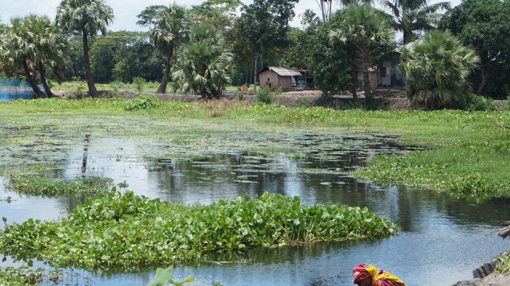 House by the water in Bangladesh