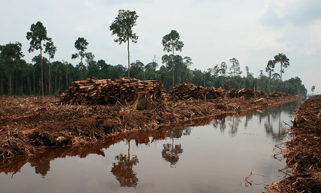 Deforestation in Indonesia.