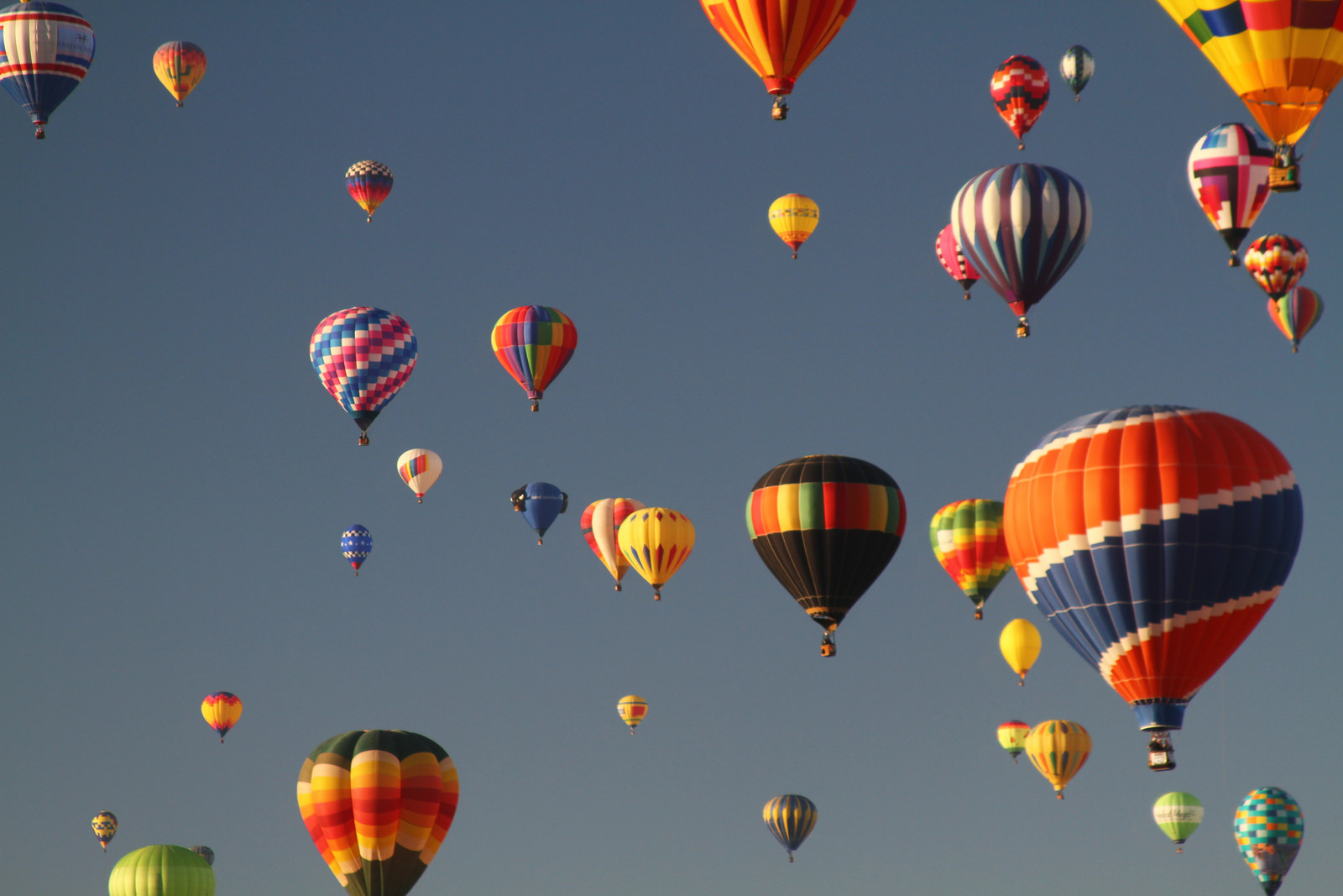 hot air balloons in flight