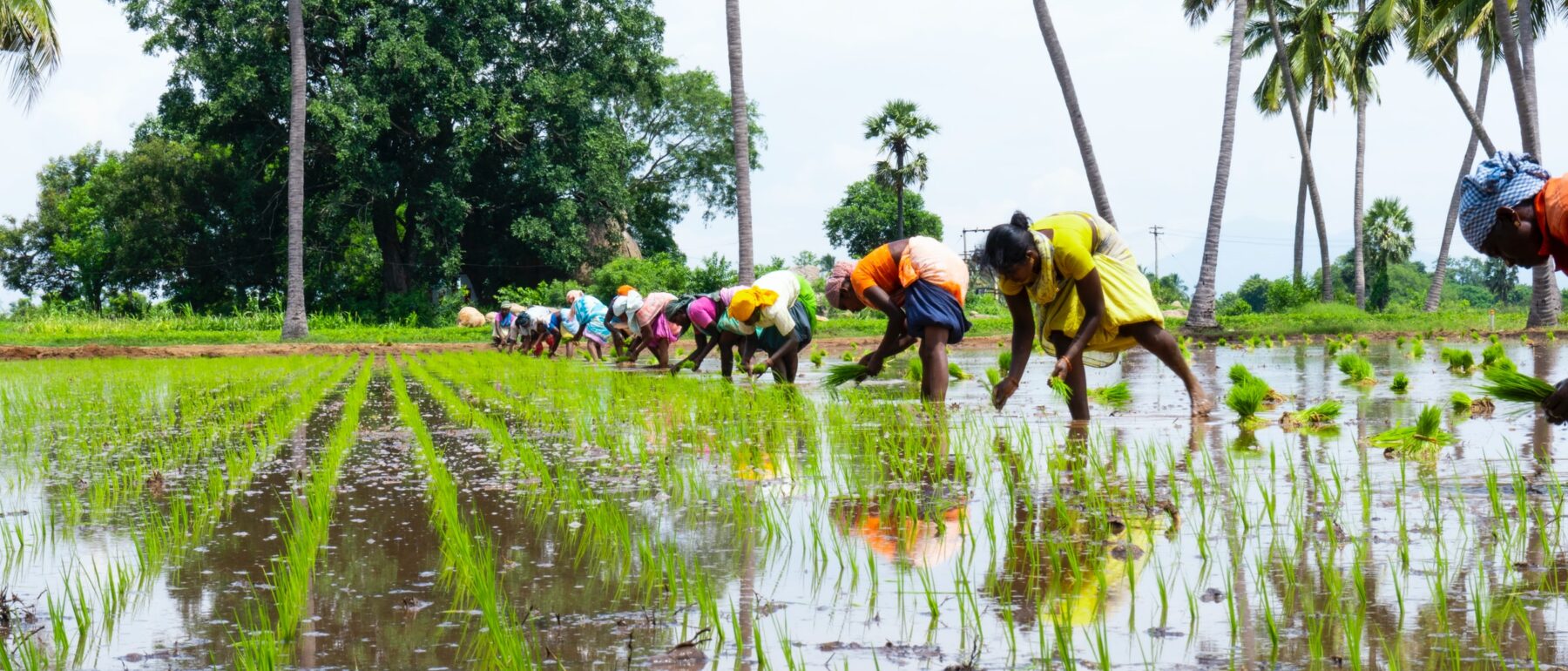 women working