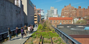 "High Line" - New York’s High Line park: urban green spaces can have environmental benefits, such as reducing urban heating, and also contribute to mental well-being.