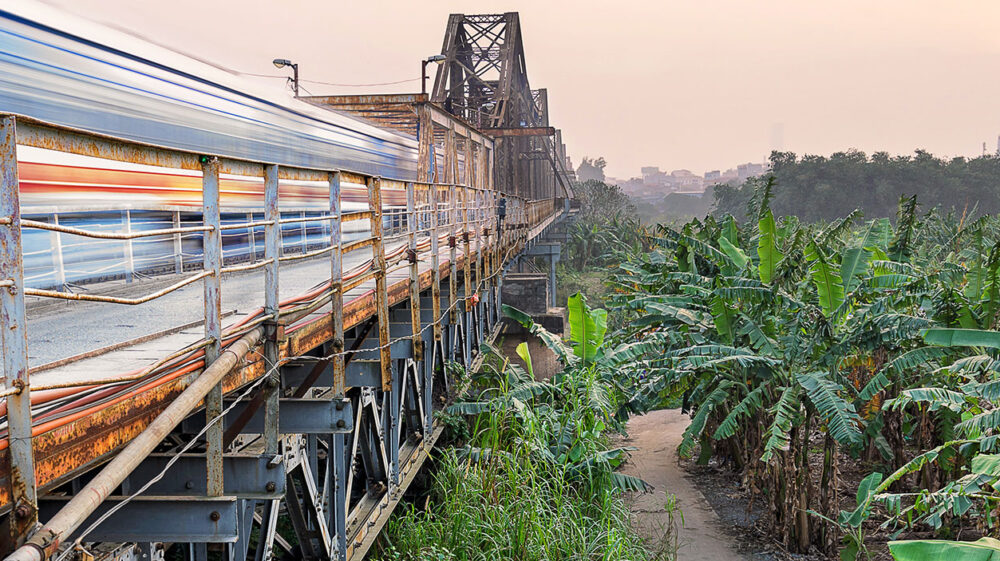 Train track in the jungle