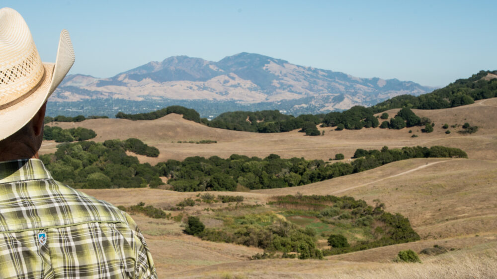 Rancher Ned Wood gazing over East Bay Regional Park District’s Briones Regional Park, in Contra Costa County, CA, 2015