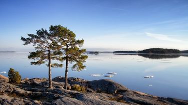Baltic sea view