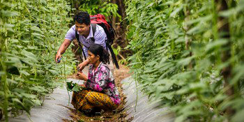 A field technician for the USAID-funded HARVEST climate resilience and food security programme in Cambodia works with a local farmer. Flickr / USAID