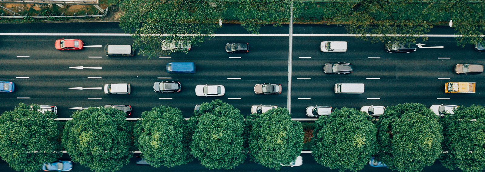 A highway lined by trees