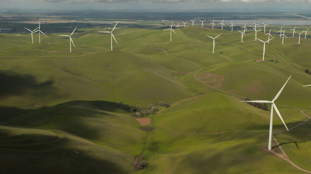 Wind turbines in an open field