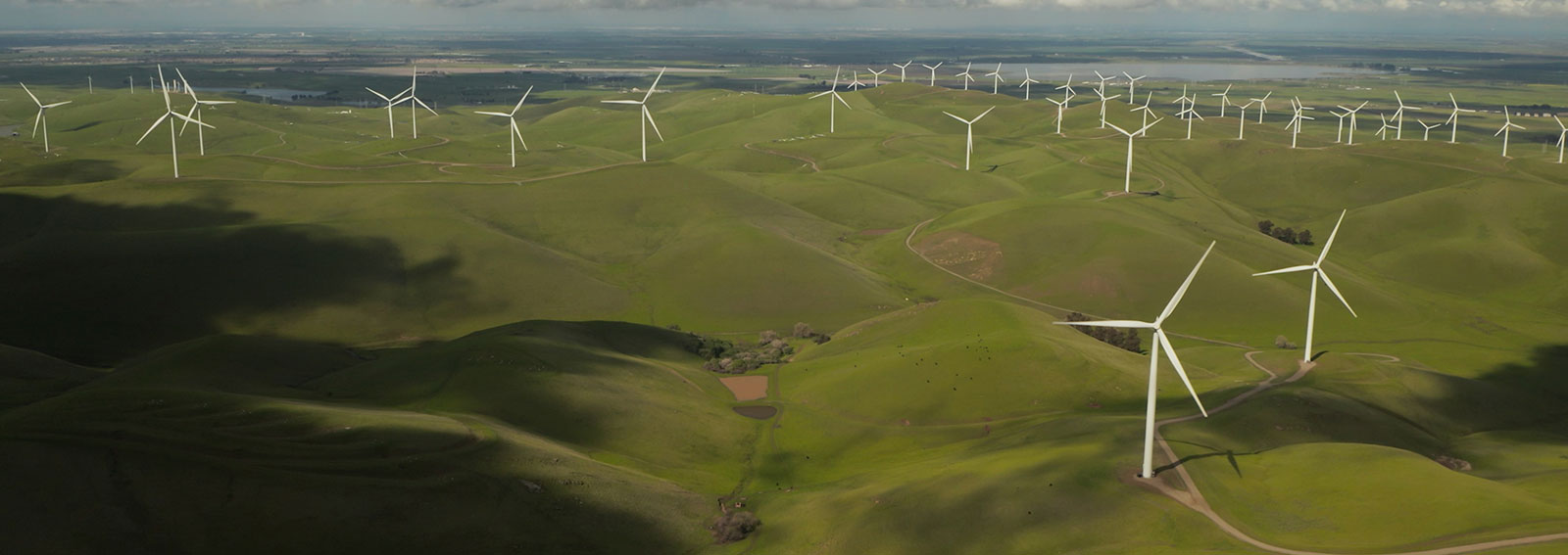 Wind turbines in an open field