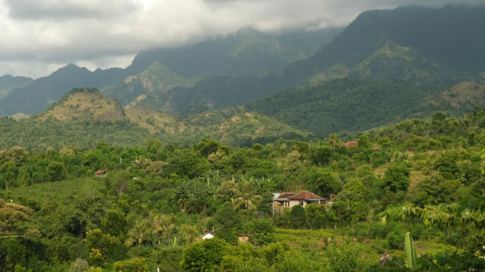 tropical forest and mountain aerial landscape