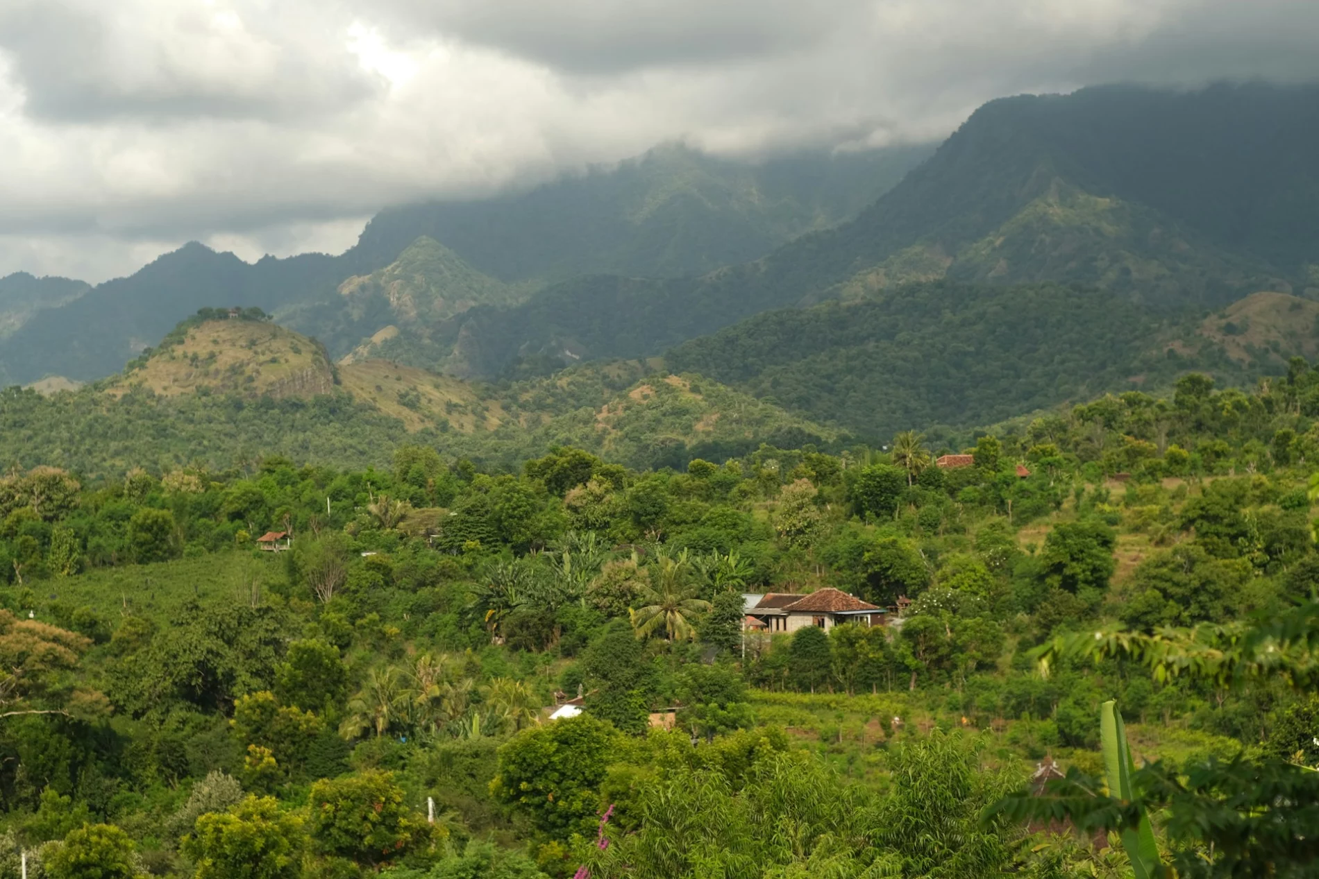 tropical forest and mountain aerial landscape