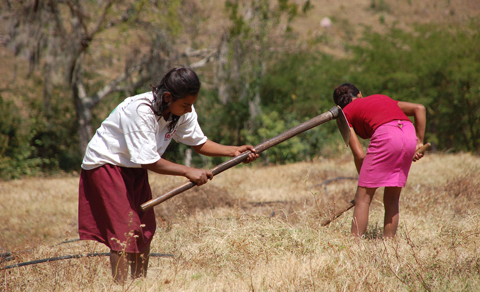 Two women farming in a drought-stricken field.