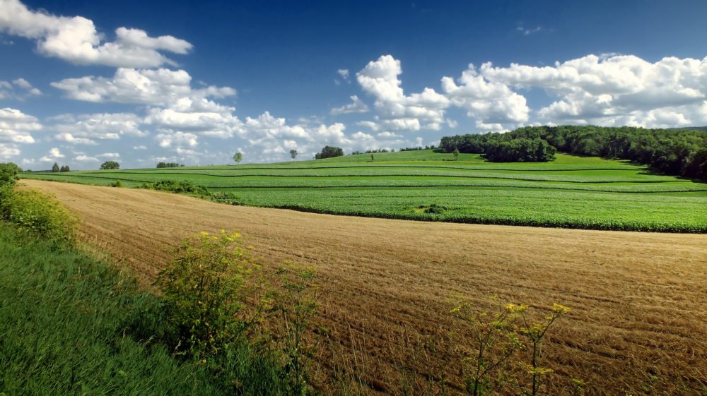 A tilled field in Snyder County, PA