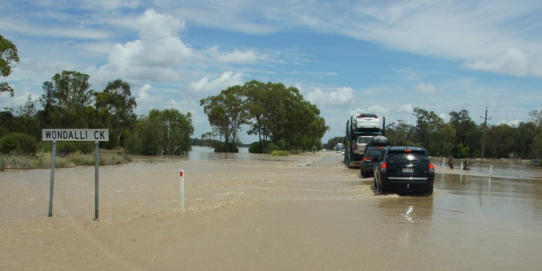 Cars driving through floodwater with trees in the background.