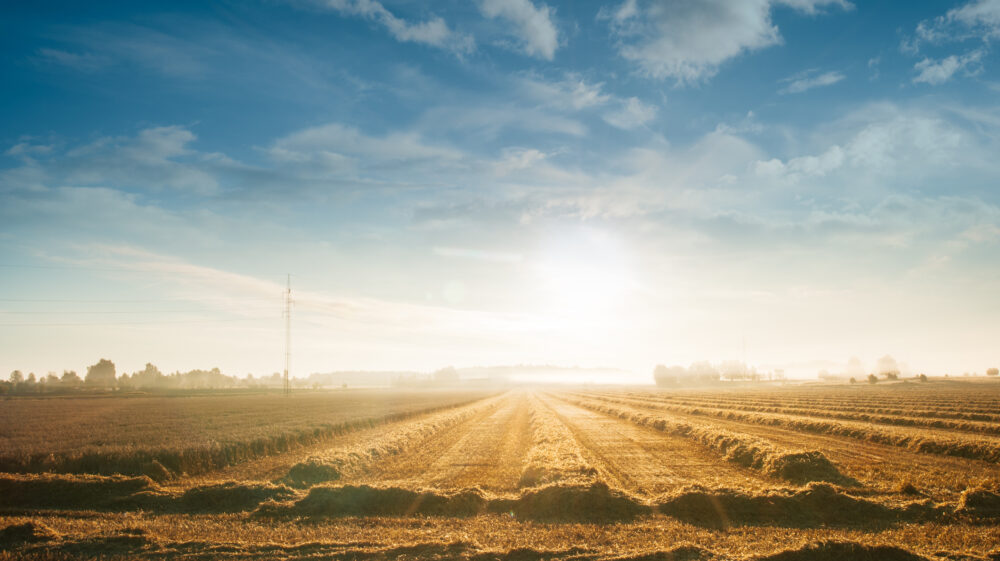 Sunrise over field with freshly harvested hay