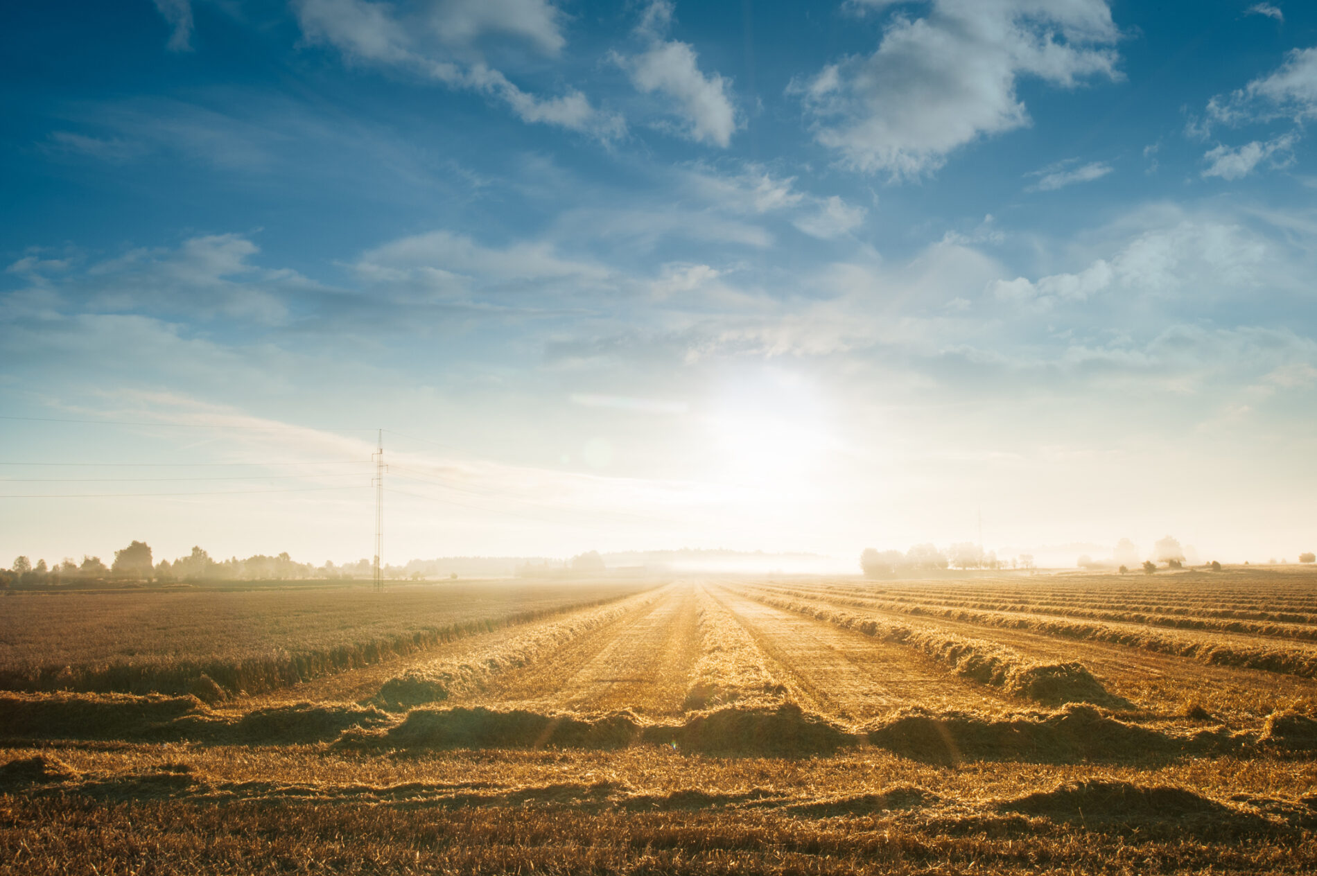 Sunrise over field with freshly harvested hay