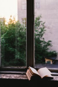Book in window