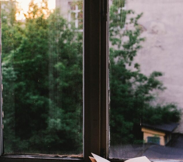Book in window