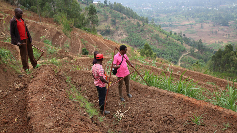 Soil erosion on terrace crops in Rwanda