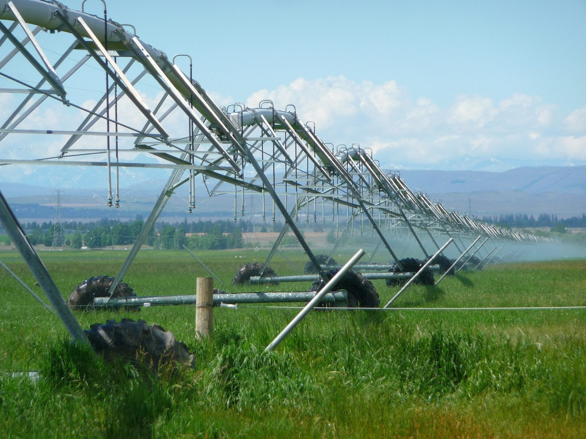 Photo of crop irrigation