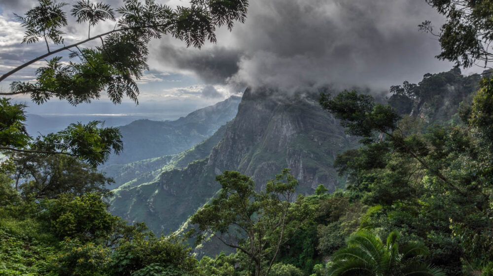 Photo of Western Usambara Mountains, Tanzania -Photo David Ashby (CC2.0)