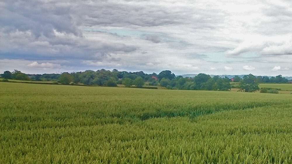 Photo of Countryside Scene