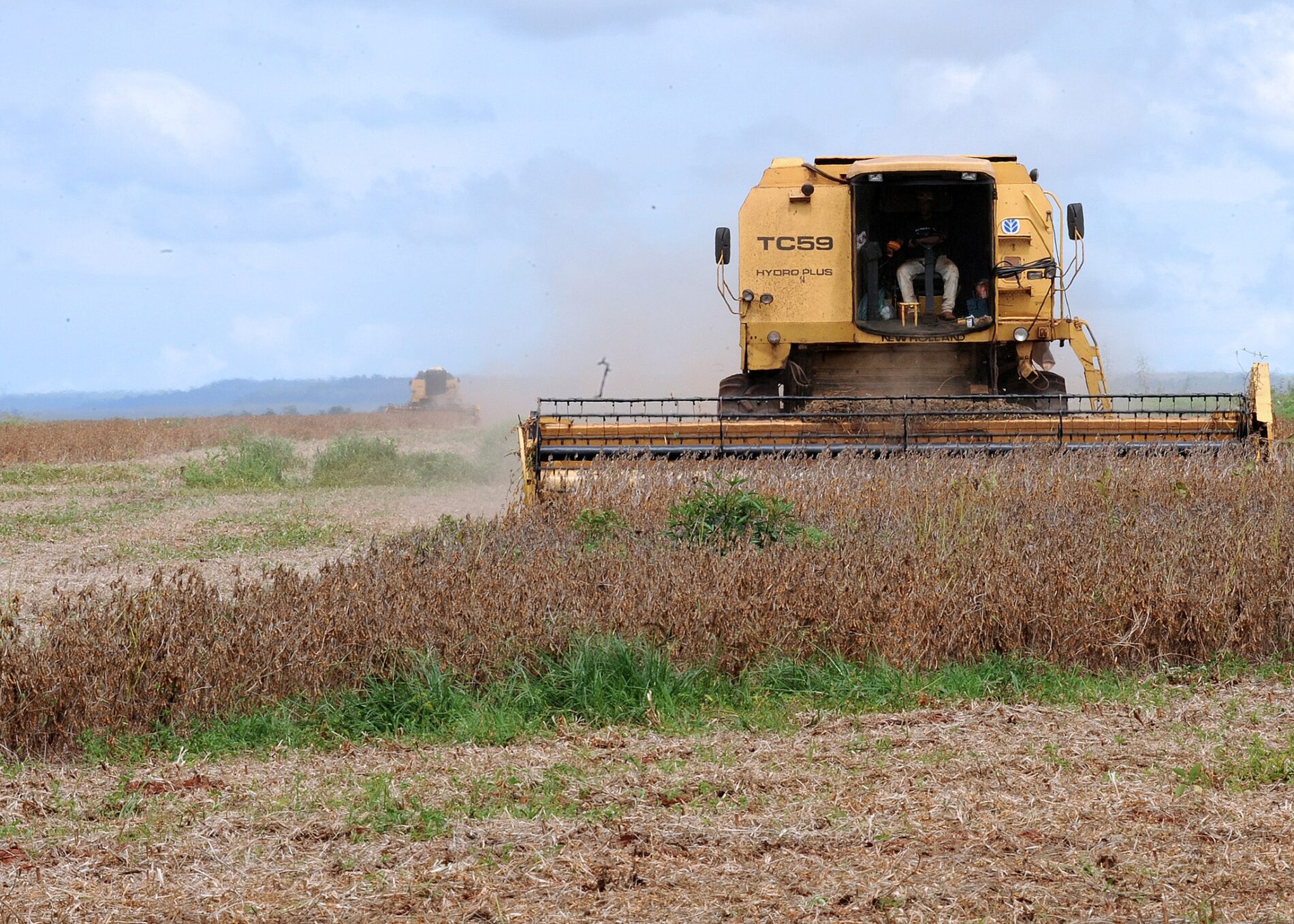 Photo Soybean harvet in Brazi.l By Roosevelt Pinheiro/ABr wikimedia (CC3.0)
