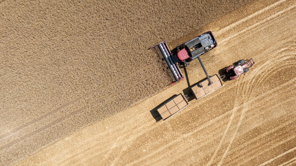 Harvesting wheat. Photo: Taikrixel / Getty