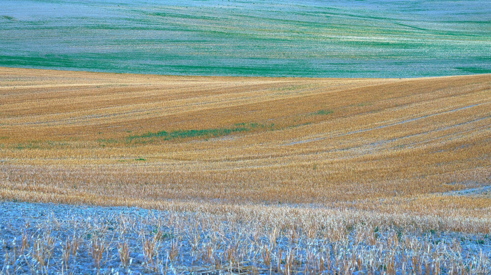 agricultural field after harvest, various fall colors