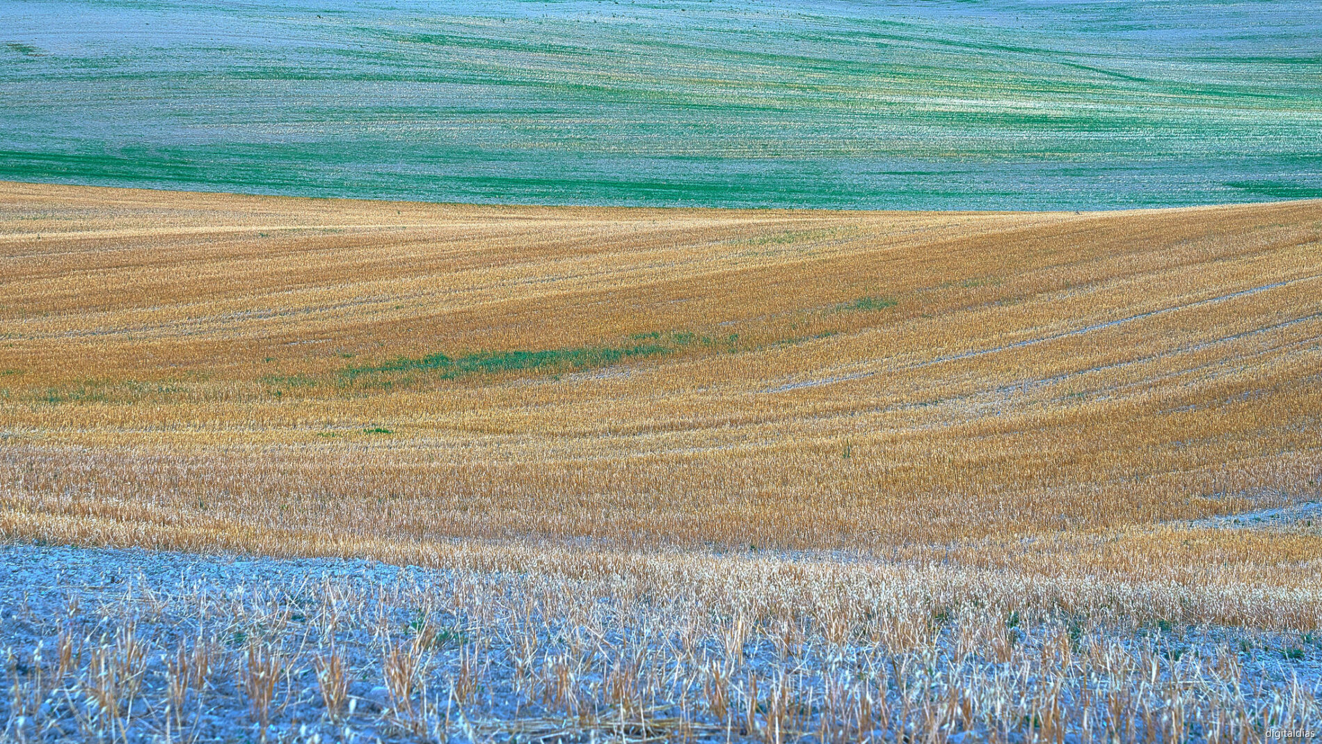 agricultural field after harvest, various fall colors