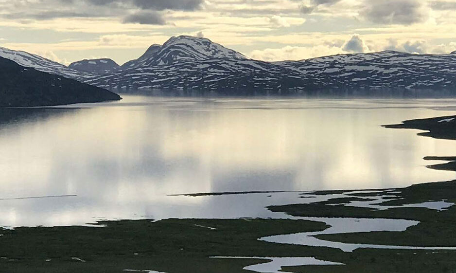 Arctic wetlands