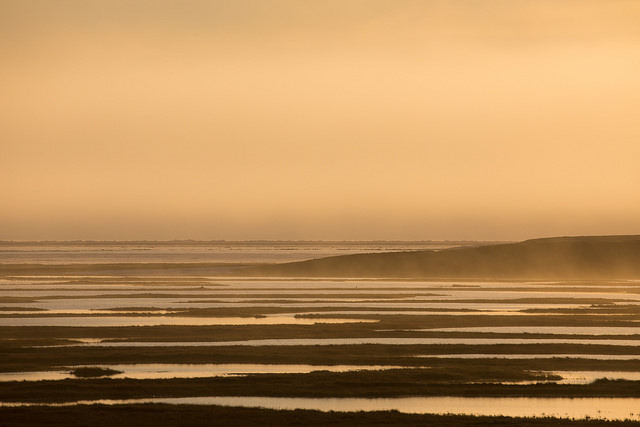 Vista over wetlands in the Arctic at dusk