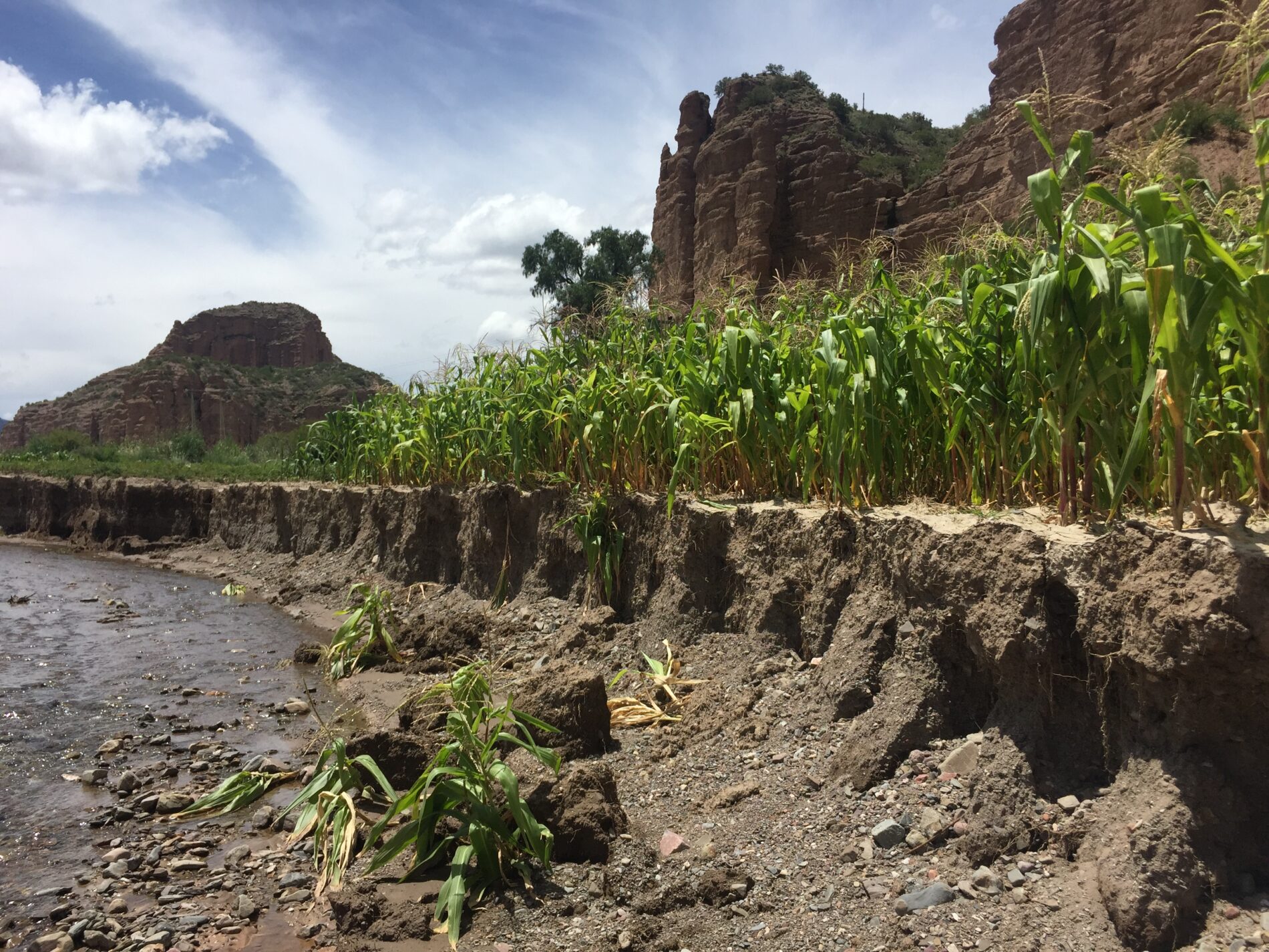 Agricultural land lost to flood in Tupiza watershed, Bolivia