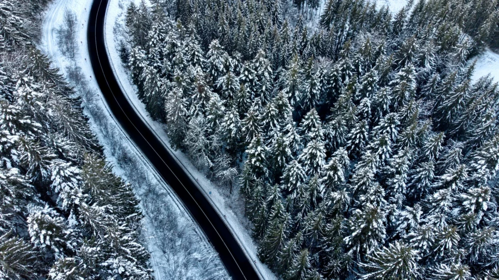 road through snowy forest
