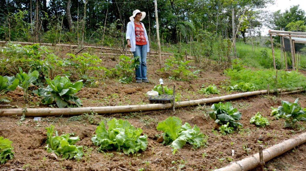A woman farmer standing in a field.