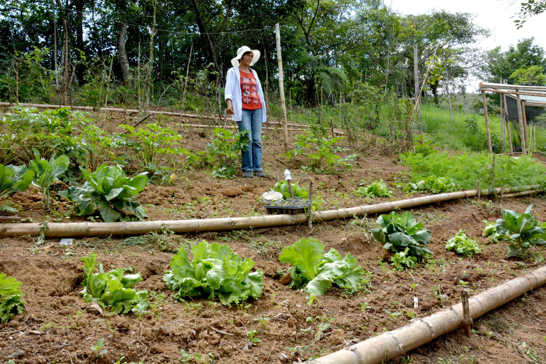 A woman farmer standing in a field.