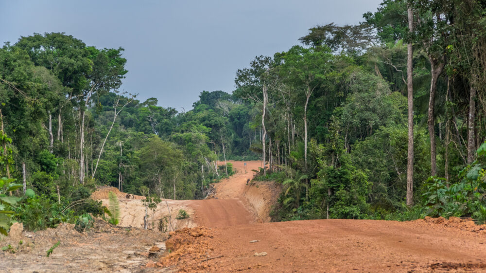 Tropical deforestation accounted for a sixth of the carbon footprint of the average EU diet in 2010–2014. Photo of tropical deforestation