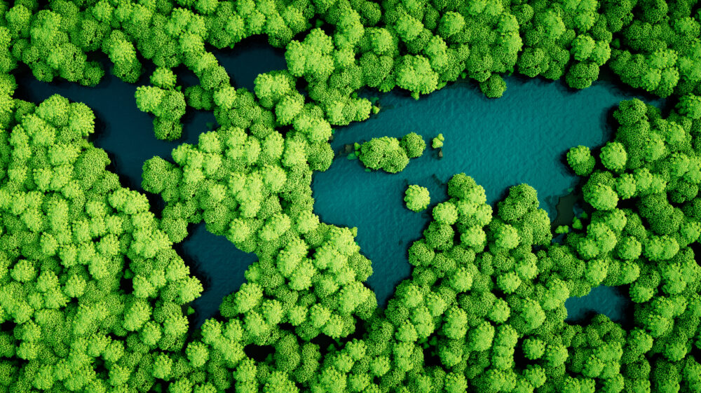 Rainforest lakes in the shape of world continents.