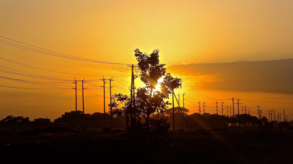 Silhouette Of Electricity Pylons And Trees