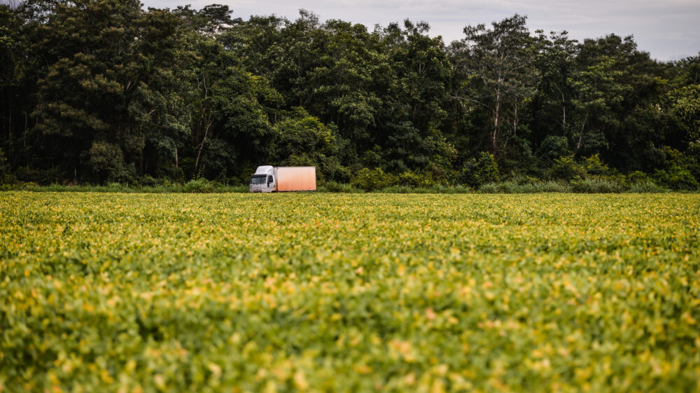 Truck traveling in the middle of a soybean plantation in R6 or R7 stage