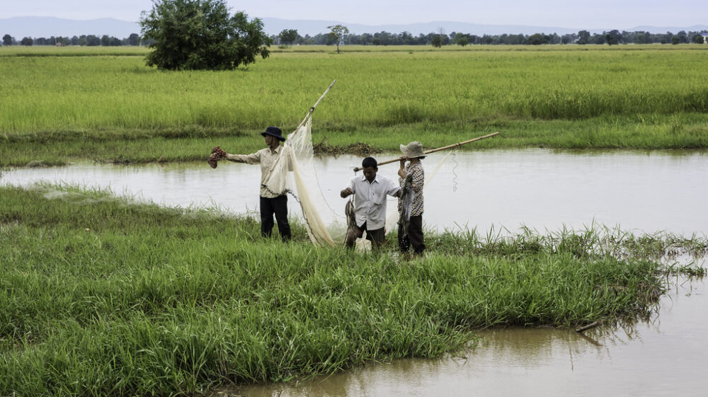 Three men fishing at the grassy bank of a canal