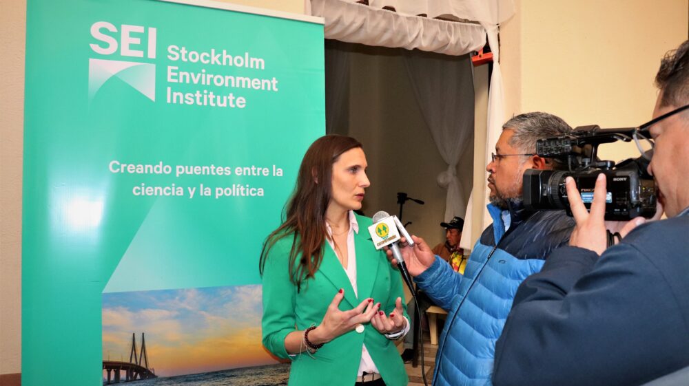 Laura Forni, SEI Senior Scientis