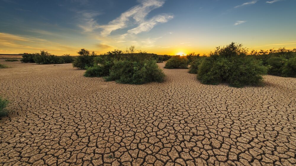 landscape affected by drought