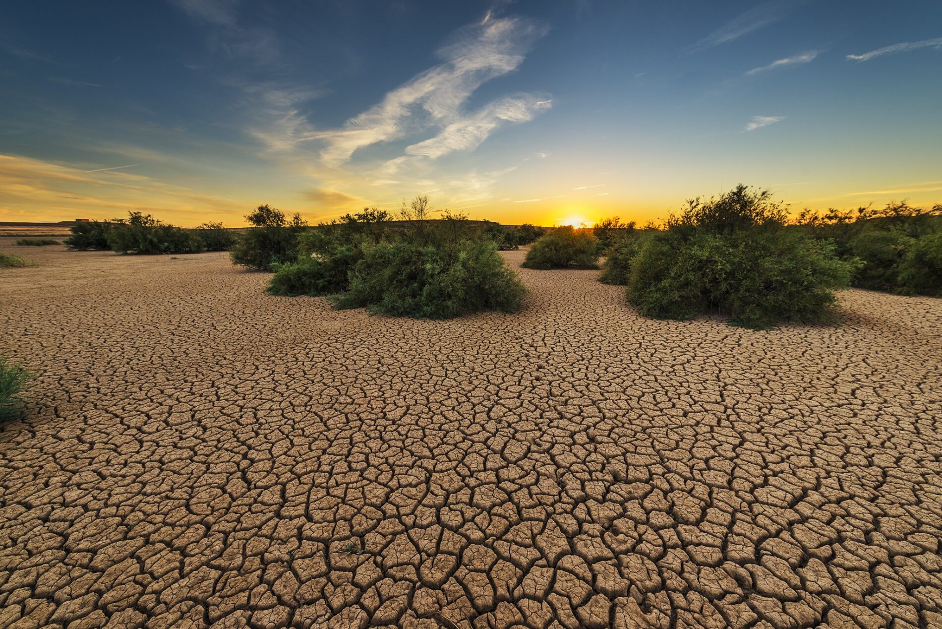 landscape affected by drought