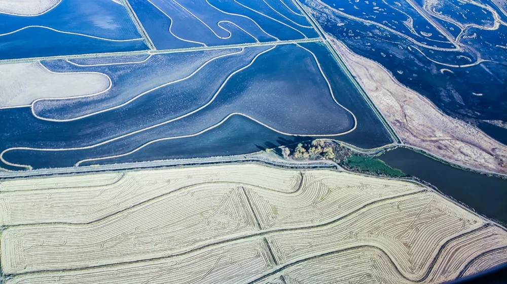 Aerial view of agricultural land and wetlands outside Sacramento, California.